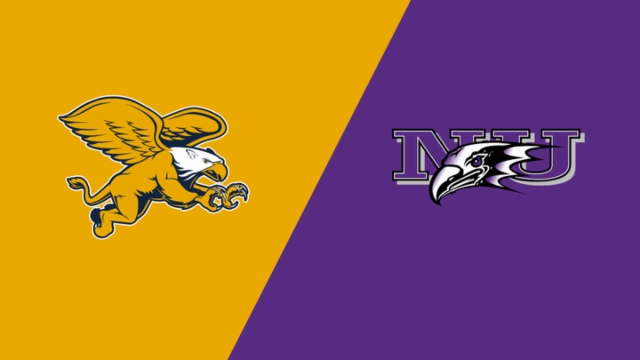 历届欧冠冠军球队全景解析及精彩战绩回顾